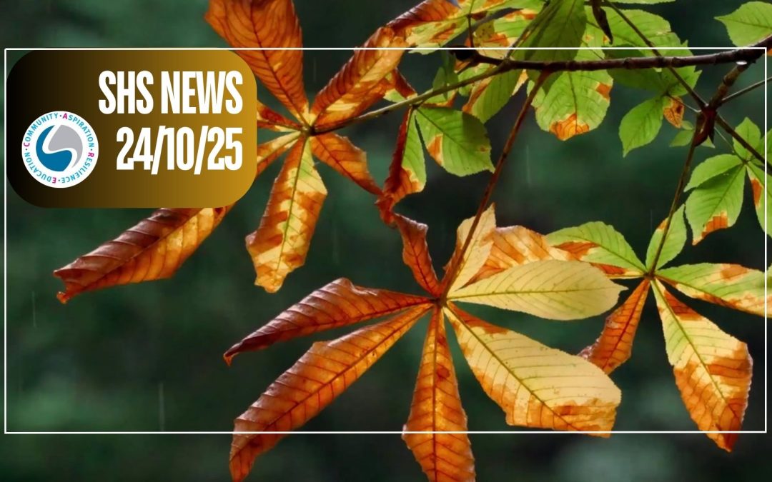 SHS News 24/10/2025