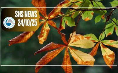 SHS News 24/10/2025