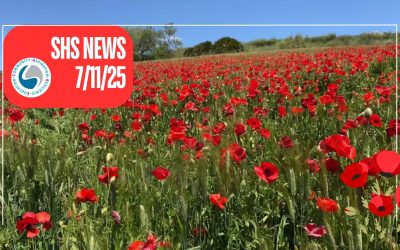 SHS News 7/11/2025