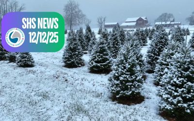SHS News 12/12/2025