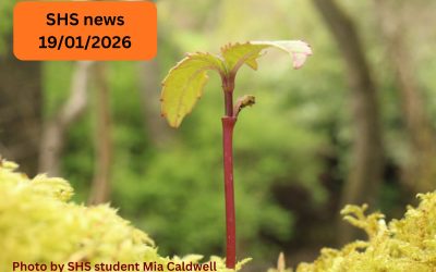 SHS News 22/01/2026