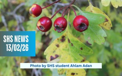 SHS News 12/02/2026